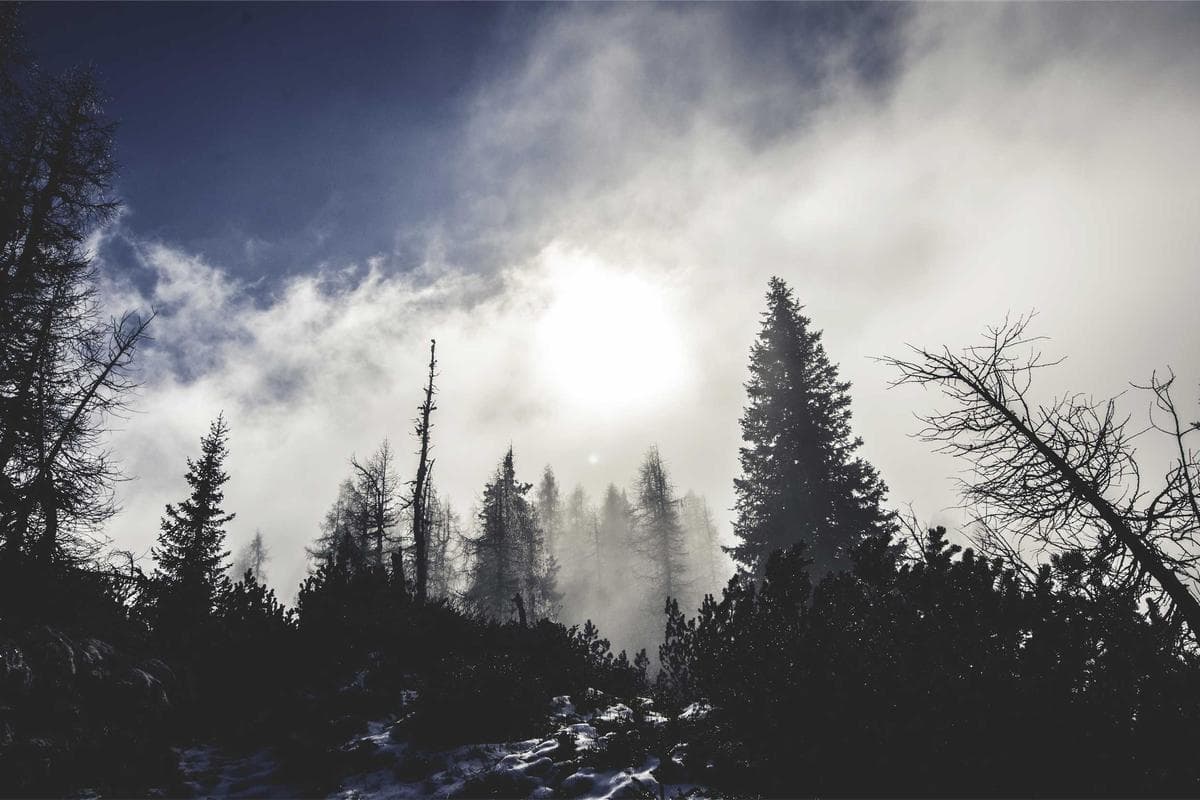 Building a Resilient Cloud Infrastructure